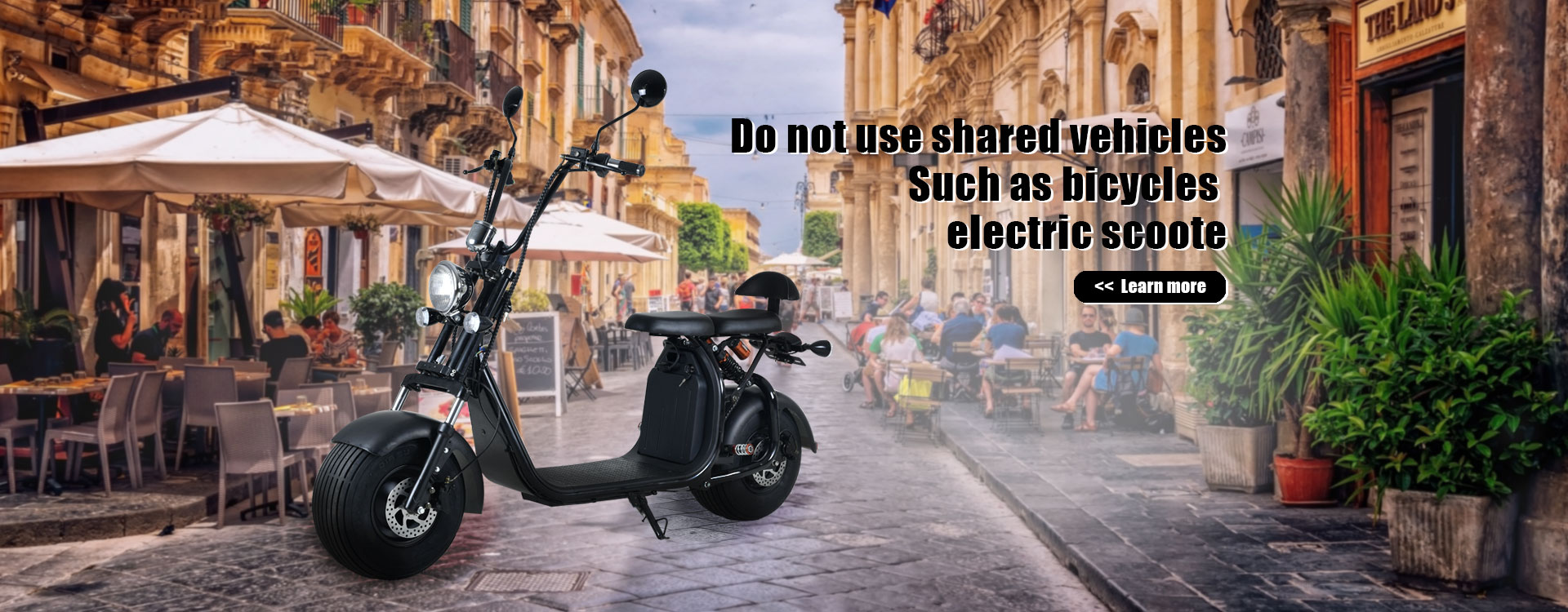 Citycoco Scooter