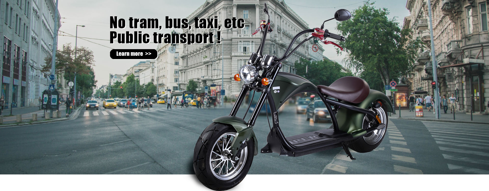 EEC COC Electric Scooter