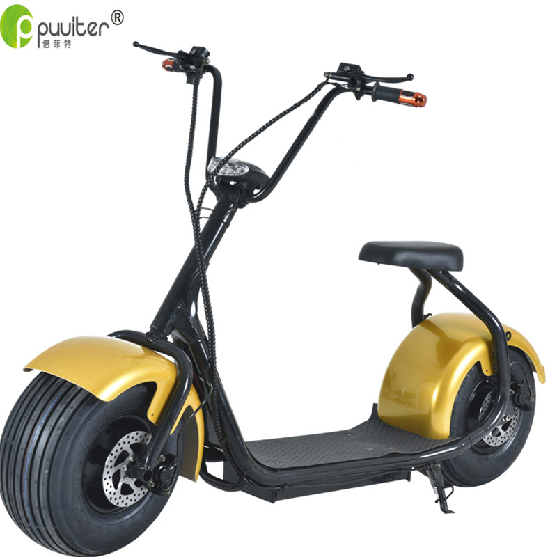Two Wheel Electric Scooter 1000W electric bicycle bike kick scooter with CE C01