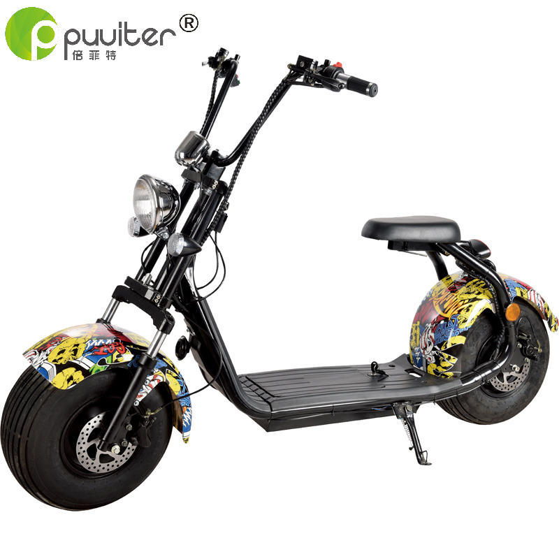 EEC/COC citycoco electric scooter motorcycle removable battery long distane